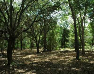 Residential Land For Sale in Hudson, Florida