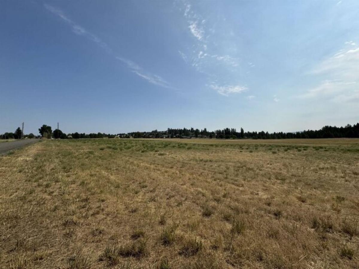 Picture of Residential Land For Sale in Cheney, Washington, United States