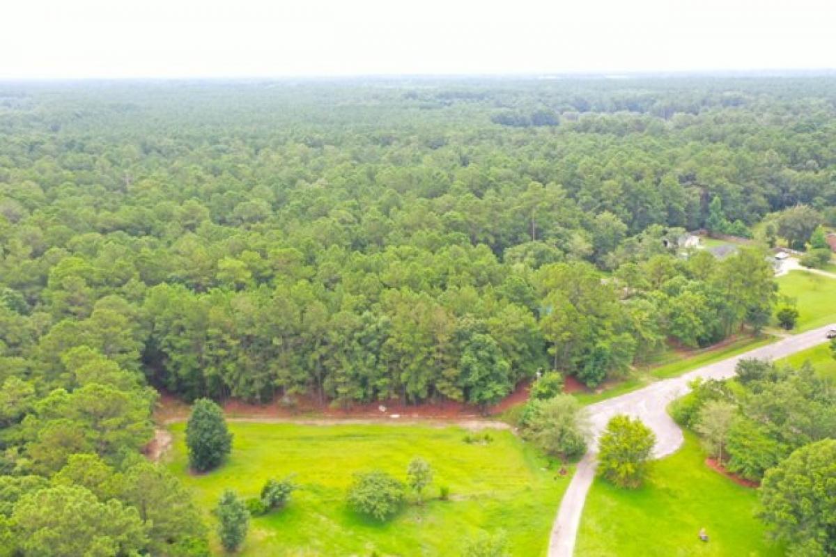 Picture of Residential Land For Sale in Summerville, South Carolina, United States