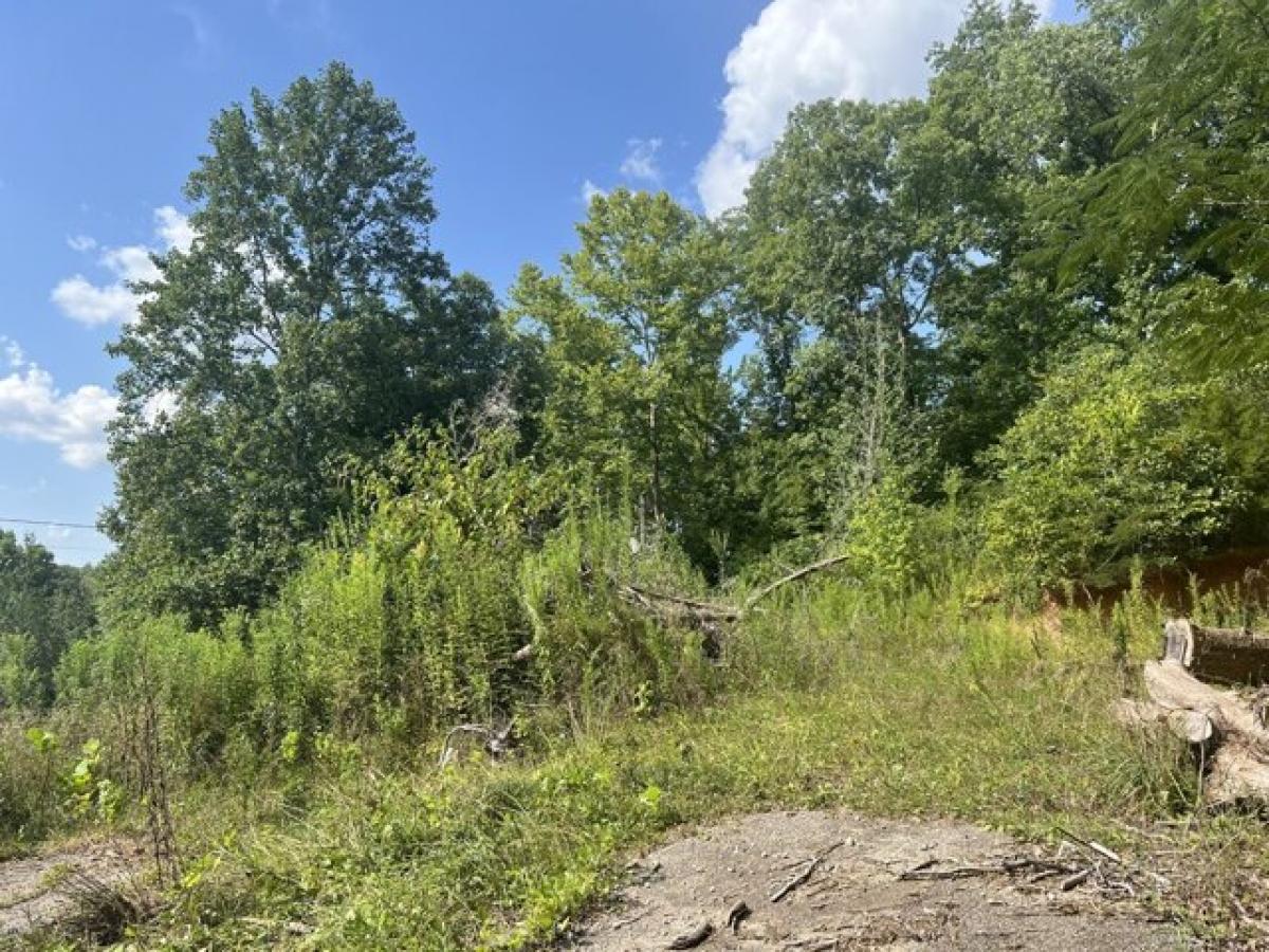 Picture of Residential Land For Sale in Linden, Tennessee, United States