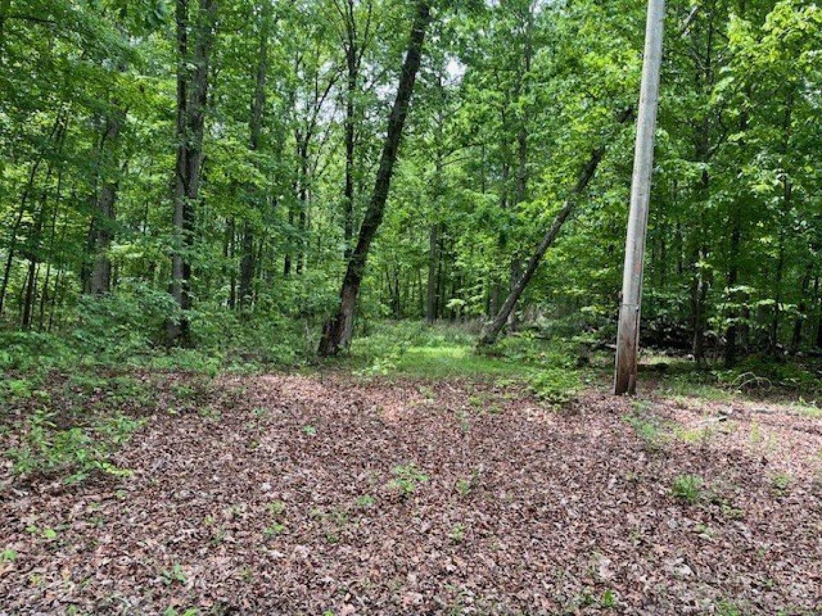 Picture of Residential Land For Sale in Fairview, Tennessee, United States