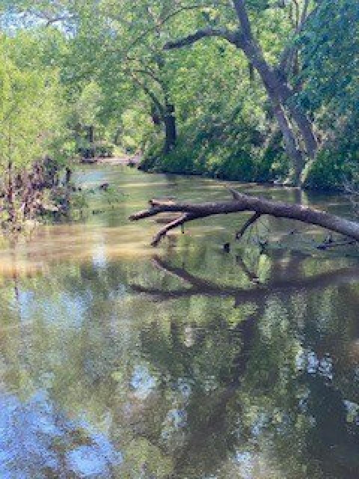 Picture of Residential Land For Sale in Edna, Texas, United States