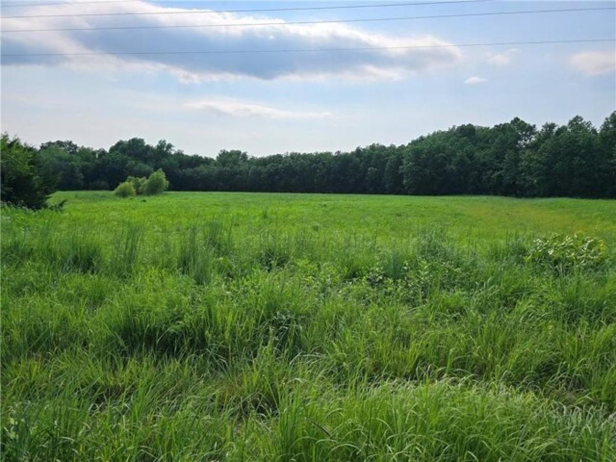 Picture of Residential Land For Sale in Urich, Missouri, United States