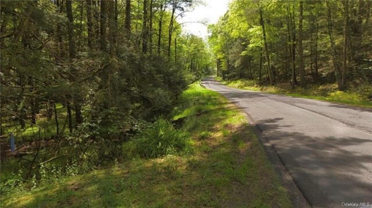 Picture of Residential Land For Sale in Huguenot, New York, United States