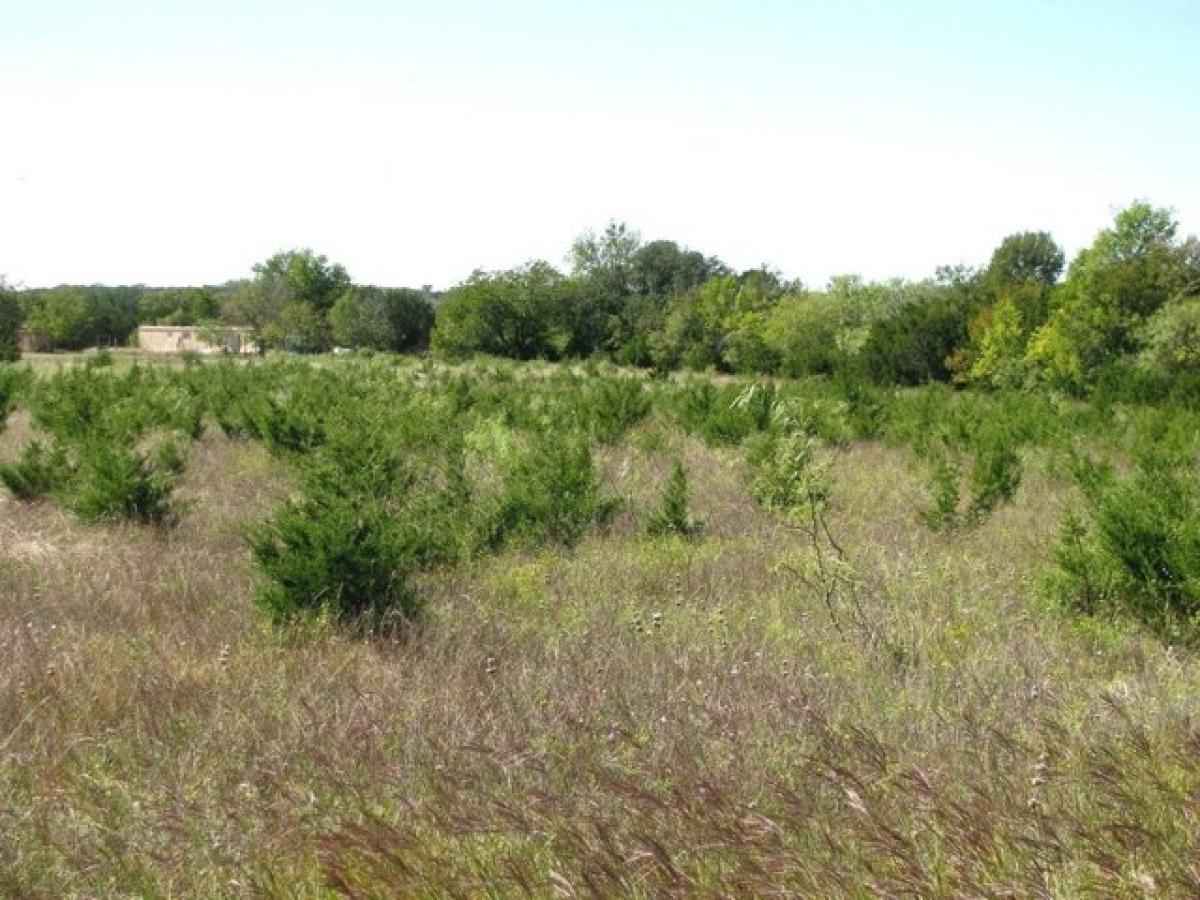 Picture of Residential Land For Sale in Lampasas, Texas, United States