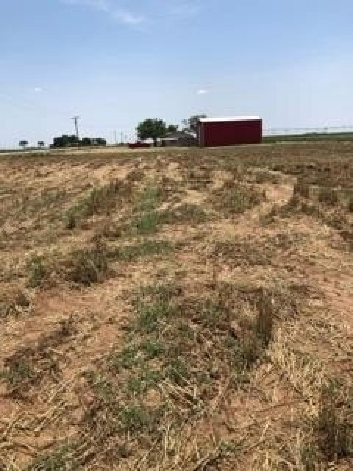 Picture of Residential Land For Sale in Idalou, Texas, United States