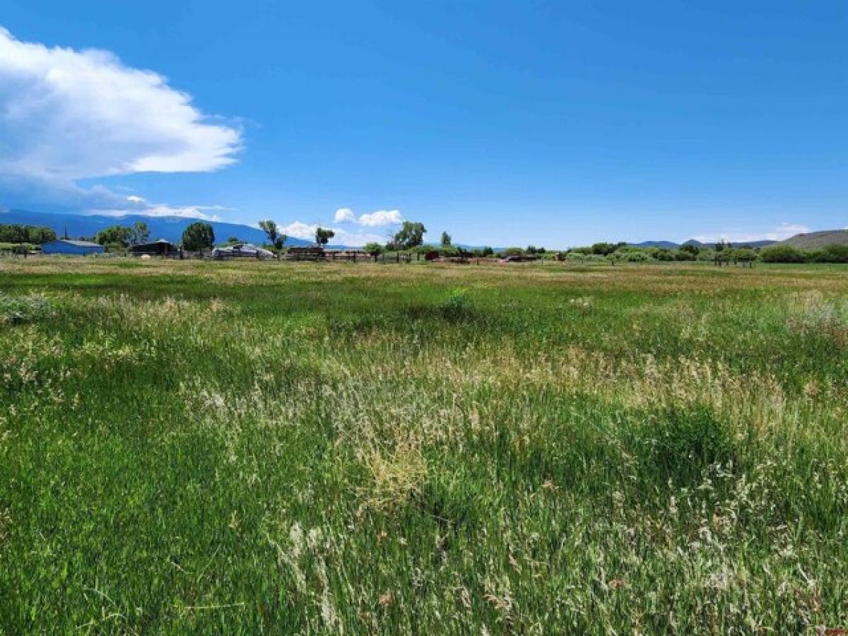 Picture of Residential Land For Sale in San Luis, Colorado, United States