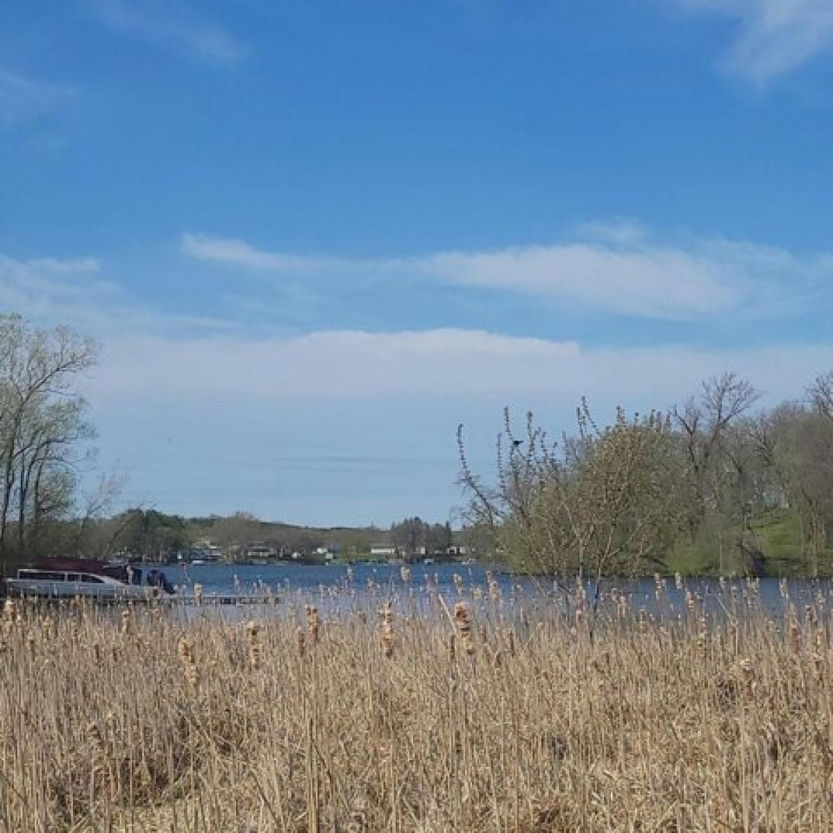 Picture of Residential Land For Sale in Richmond, Minnesota, United States