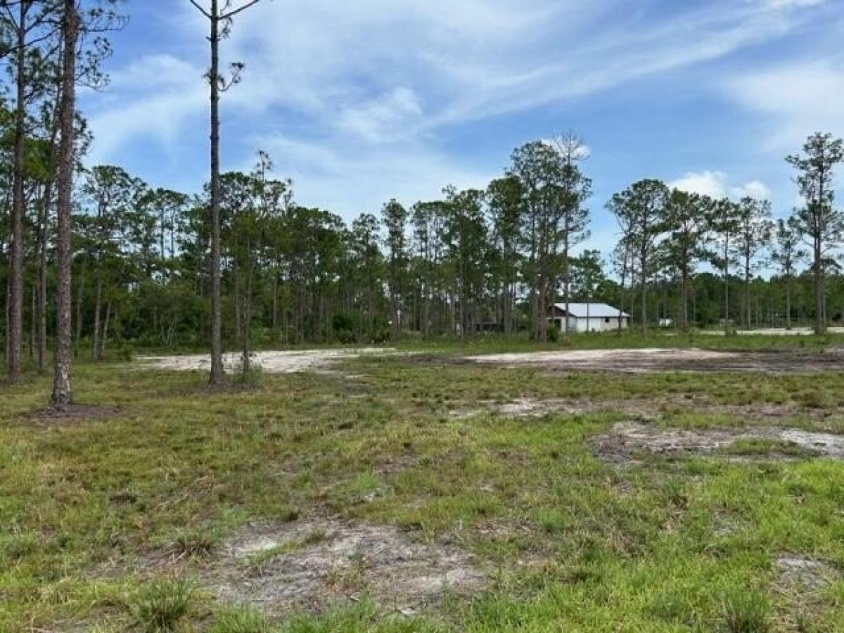 Picture of Residential Land For Sale in Fellsmere, Florida, United States