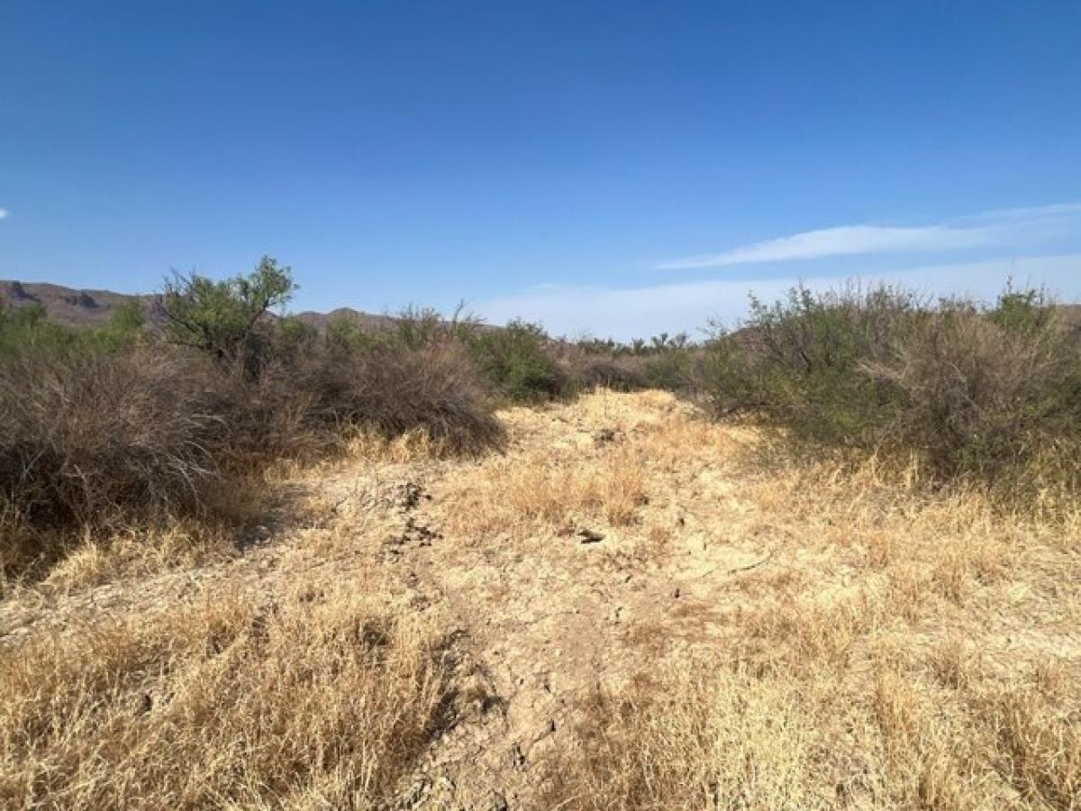 Picture of Residential Land For Sale in Terlingua, Texas, United States