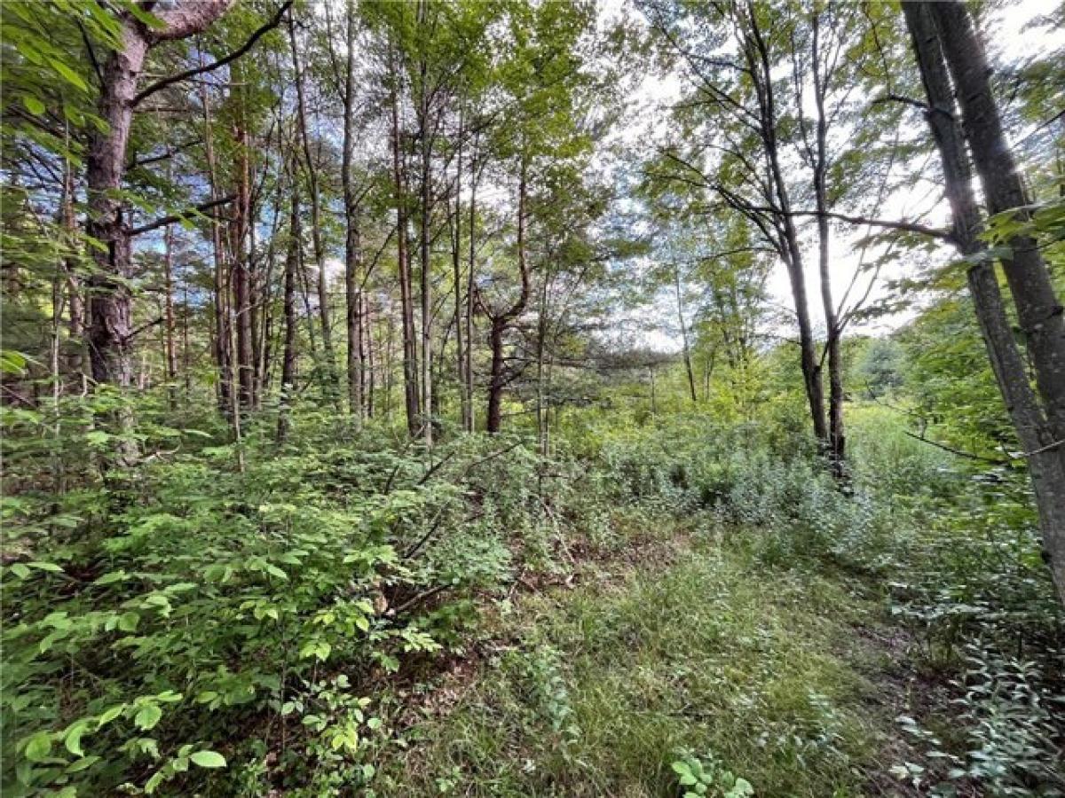 Picture of Residential Land For Sale in Erin, New York, United States