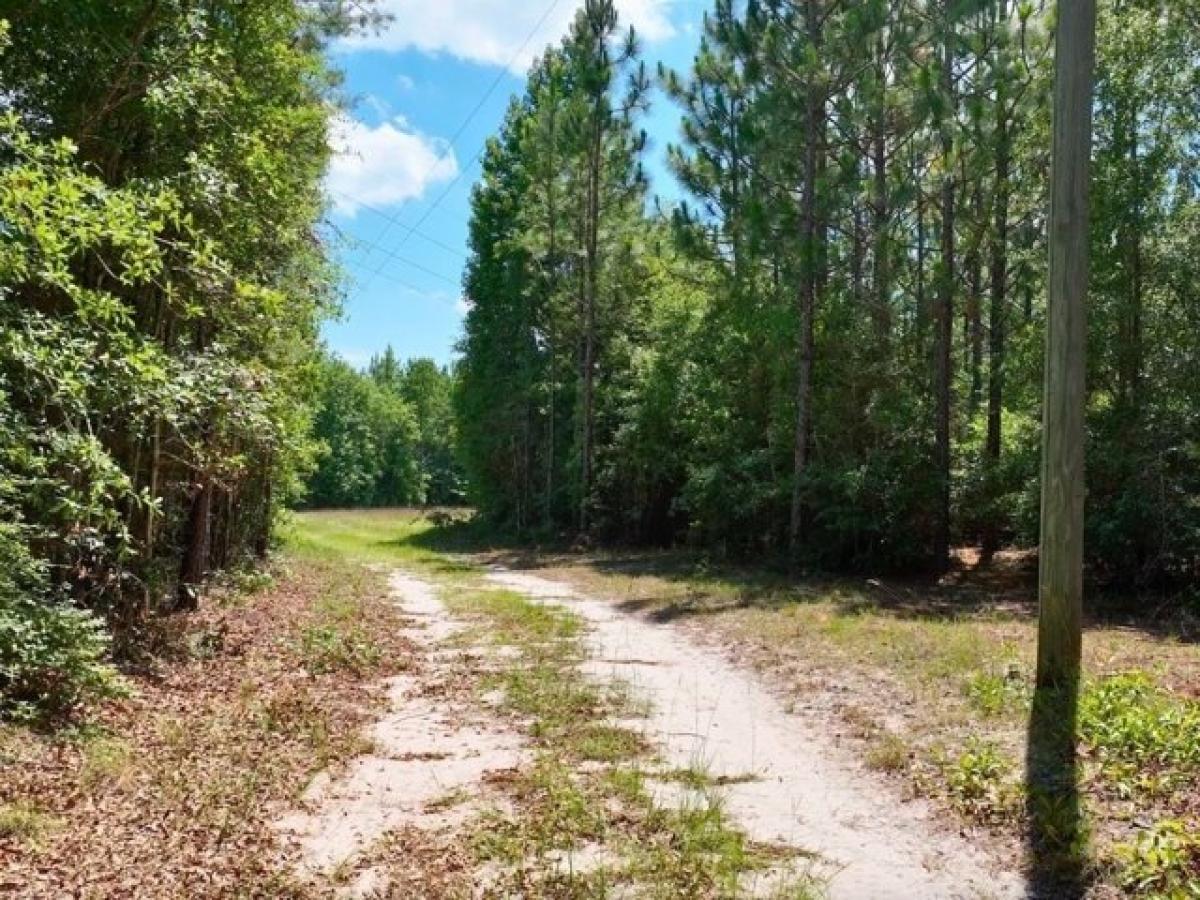 Picture of Residential Land For Sale in Leakesville, Mississippi, United States