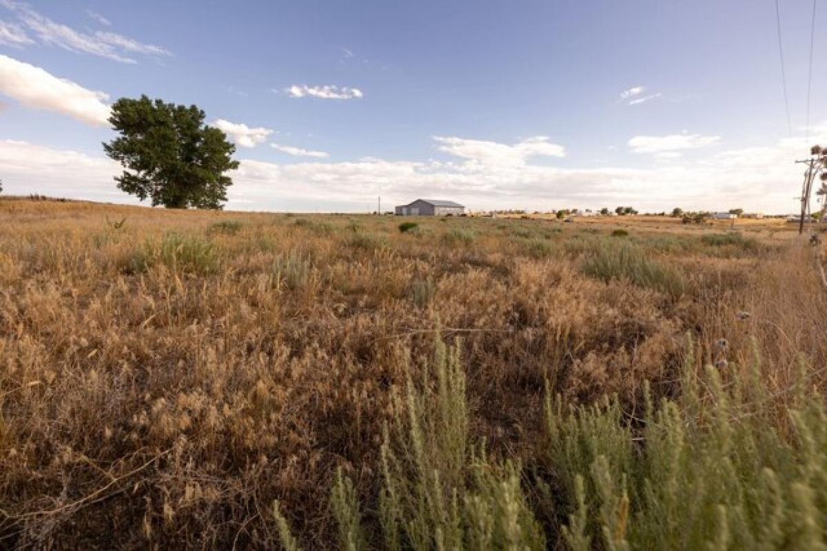 Picture of Residential Land For Sale in Brush, Colorado, United States