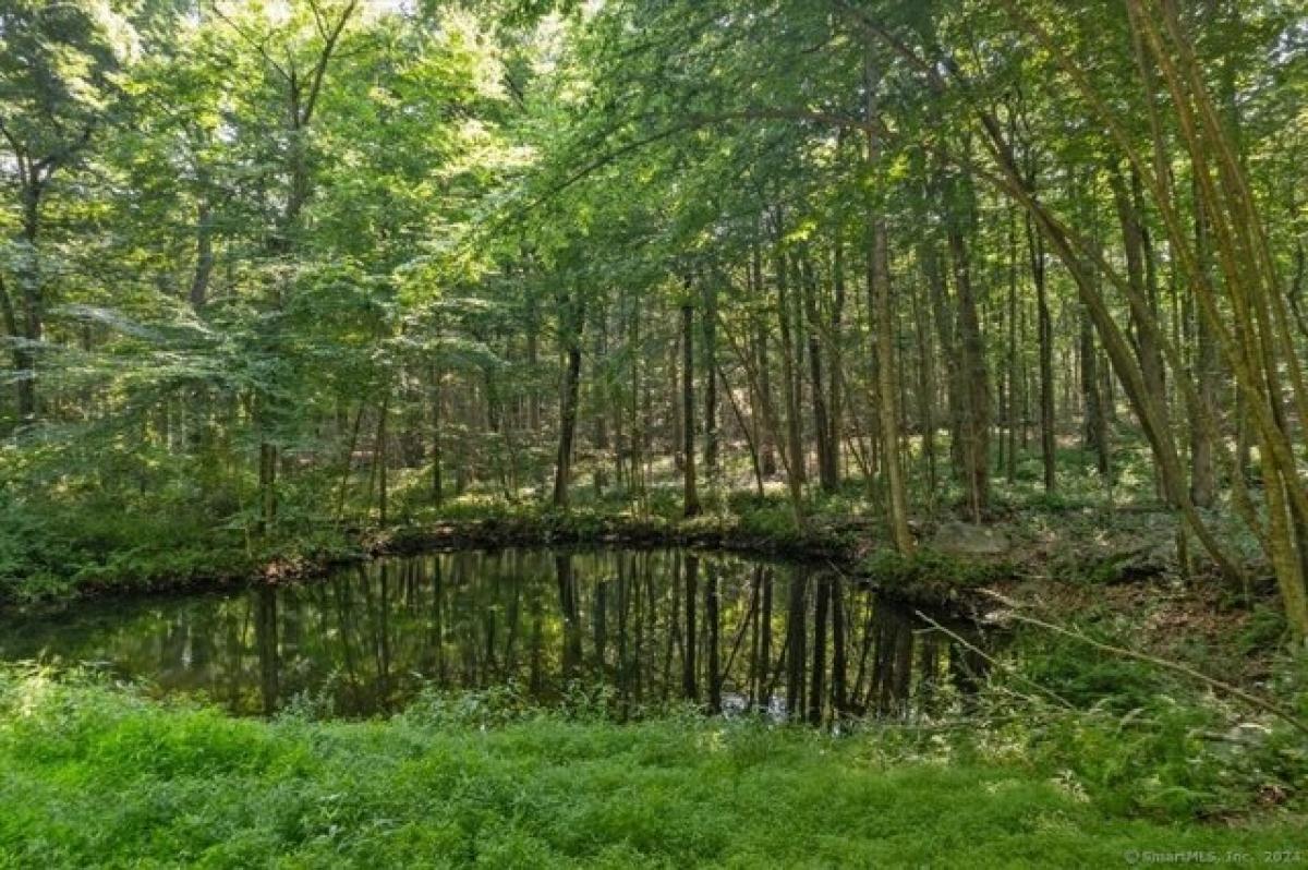 Picture of Home For Sale in Deep River, Connecticut, United States