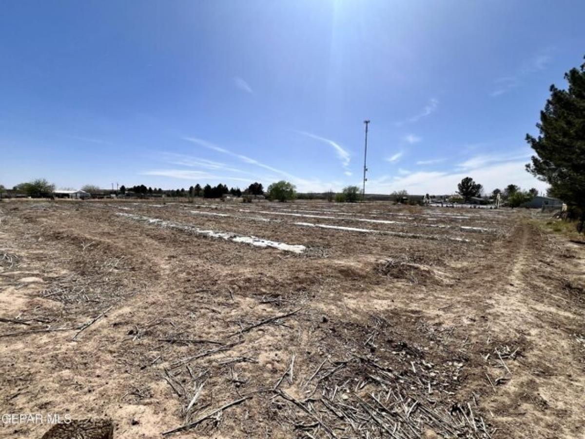 Picture of Residential Land For Sale in La Mesa, New Mexico, United States