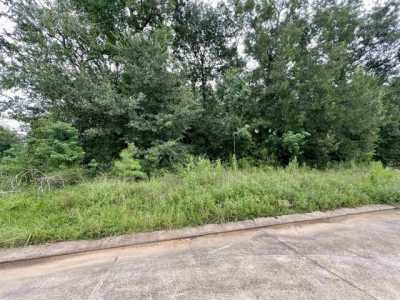 Residential Land For Sale in Vidor, Texas