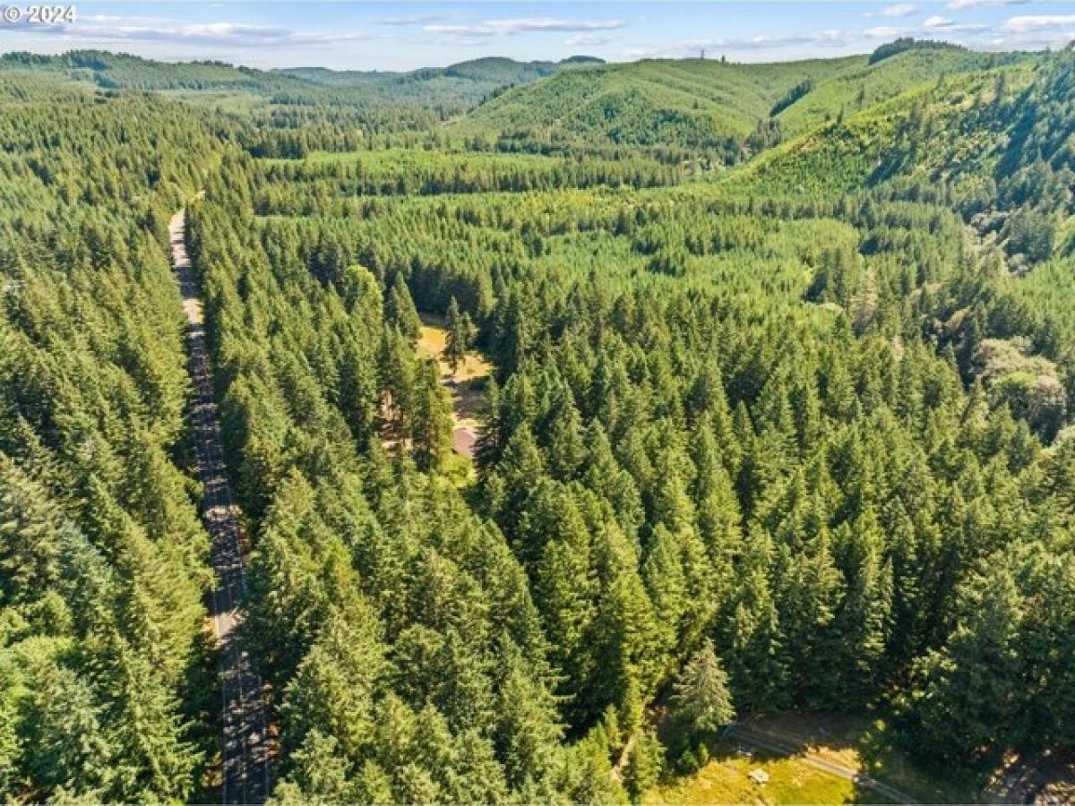 Picture of Home For Sale in Noti, Oregon, United States