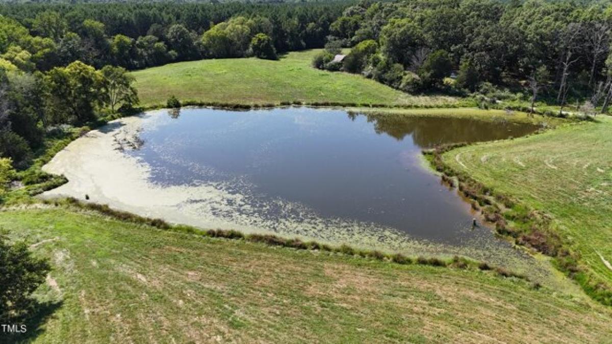 Picture of Residential Land For Sale in Goldston, North Carolina, United States