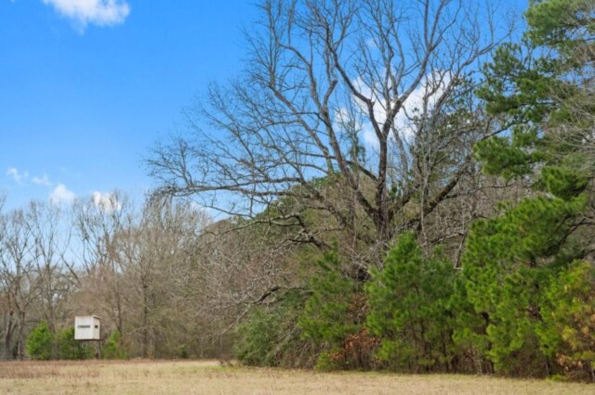 Picture of Residential Land For Sale in New Waverly, Texas, United States