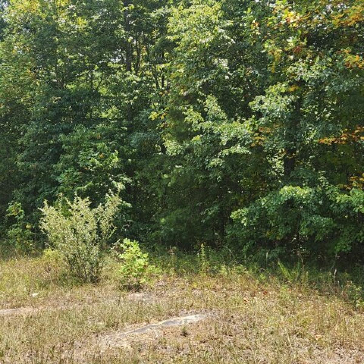 Picture of Residential Land For Sale in Altamont, Tennessee, United States