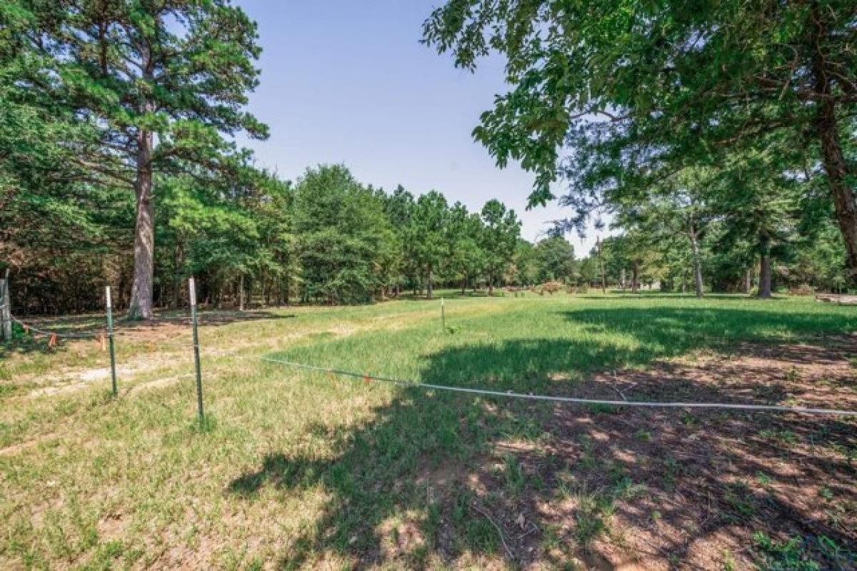 Picture of Residential Land For Sale in Big Sandy, Texas, United States