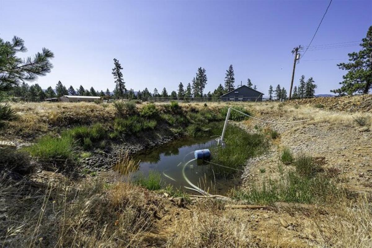 Picture of Home For Sale in Cave Junction, Oregon, United States