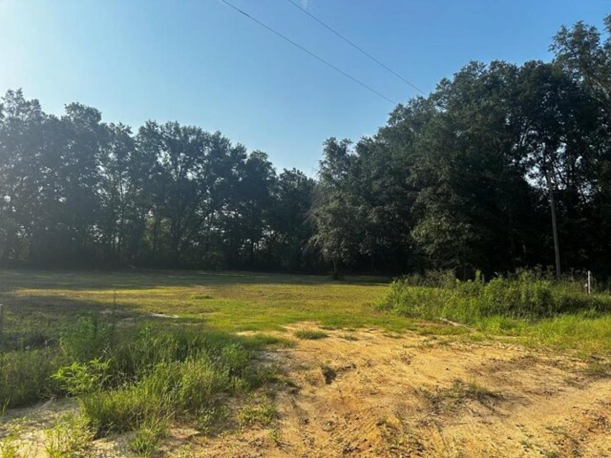 Picture of Residential Land For Sale in Ashford, Alabama, United States