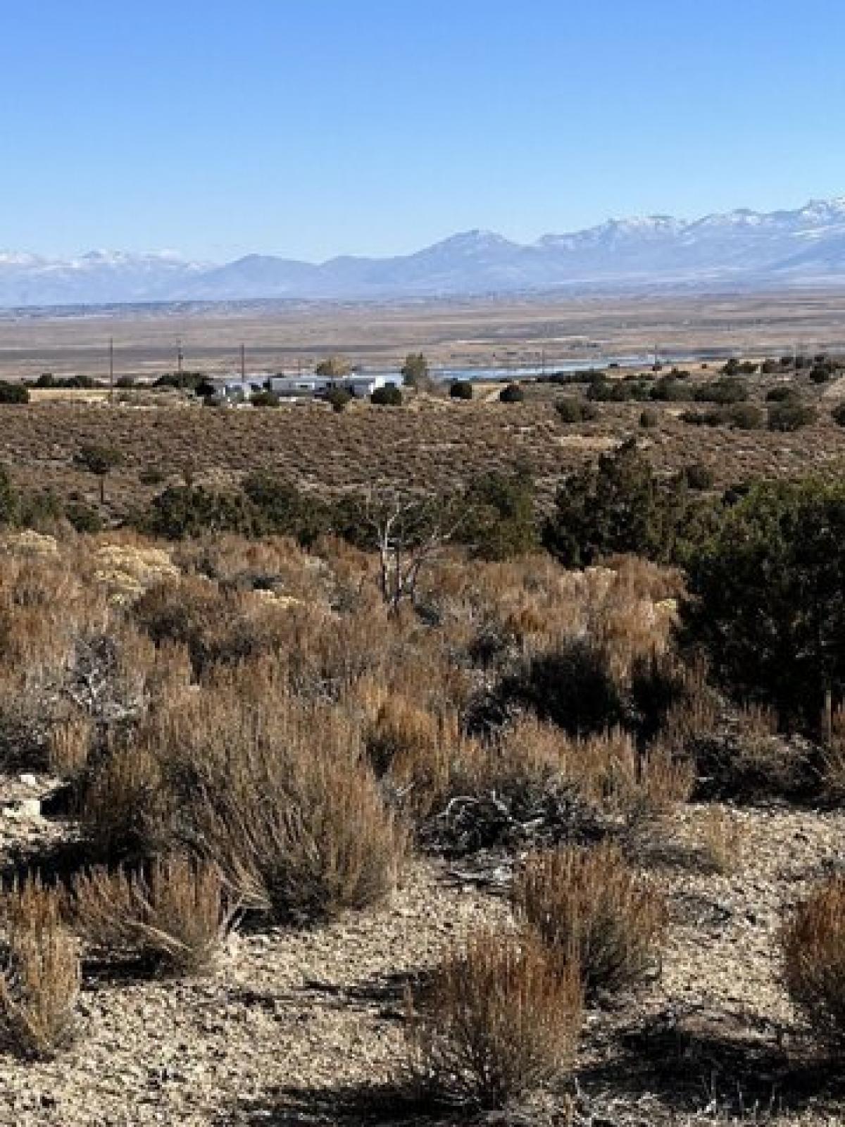 Picture of Residential Land For Sale in Spring Creek, Nevada, United States