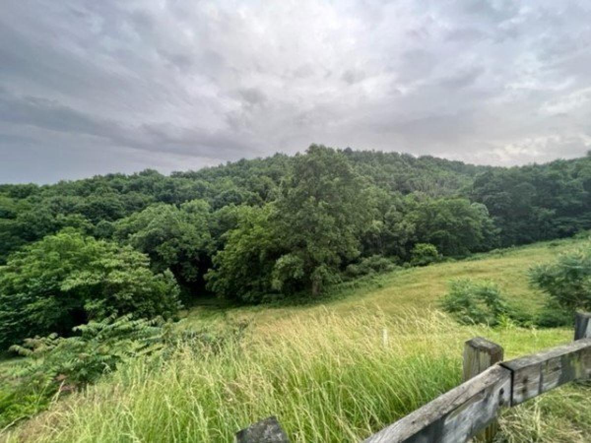 Picture of Residential Land For Sale in Franklin, Tennessee, United States