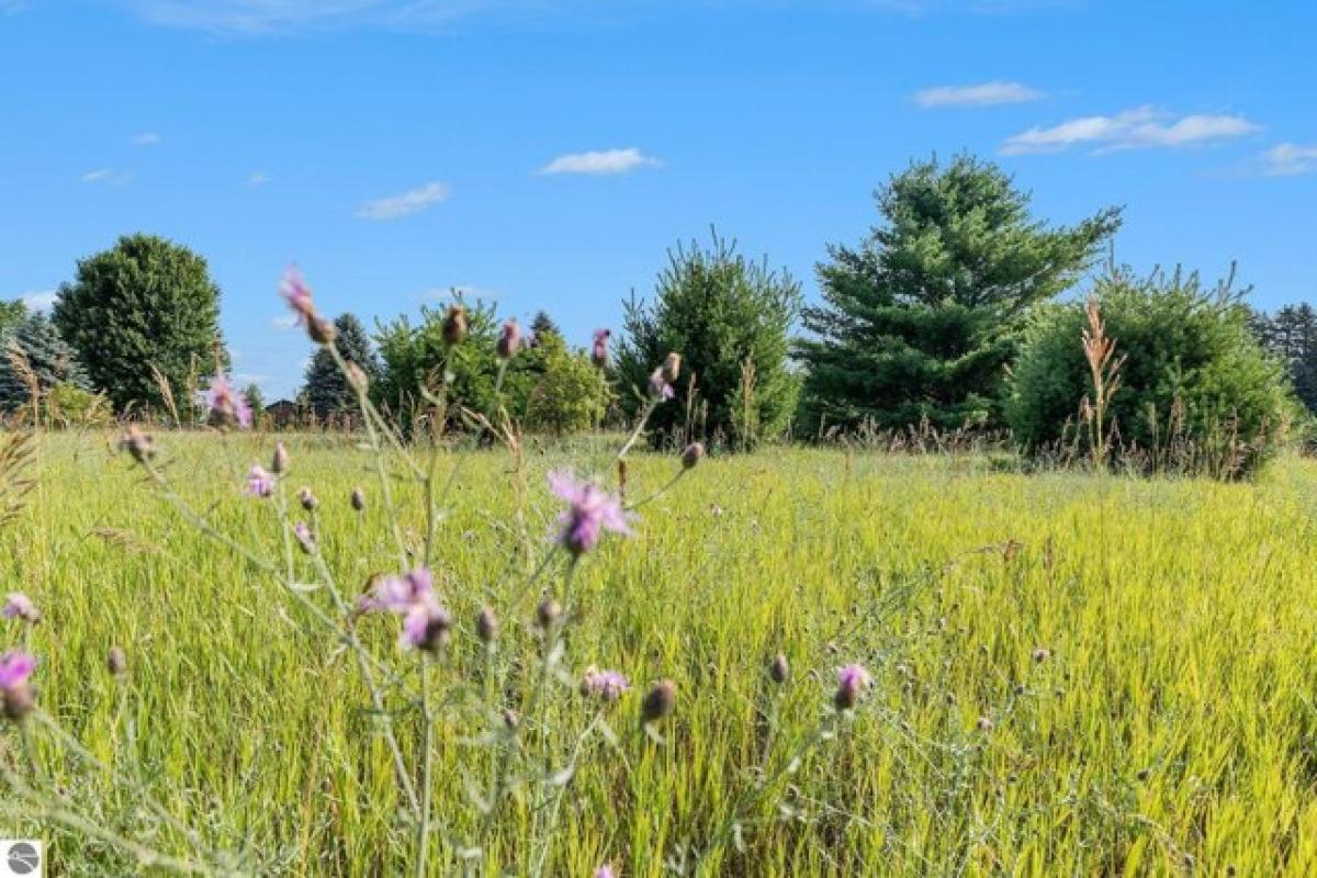 Picture of Residential Land For Sale in Cadillac, Michigan, United States