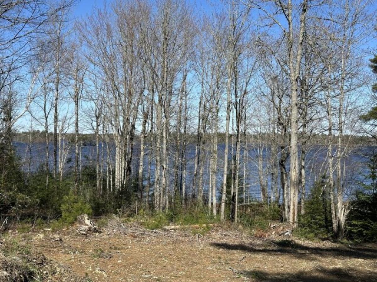 Picture of Residential Land For Sale in Baileyville, Maine, United States