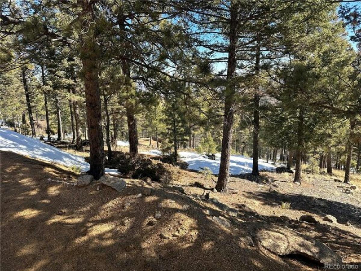 Picture of Residential Land For Sale in Manitou Springs, Colorado, United States