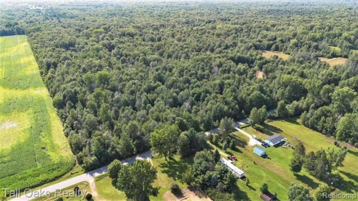 Picture of Residential Land For Sale in Vassar, Michigan, United States