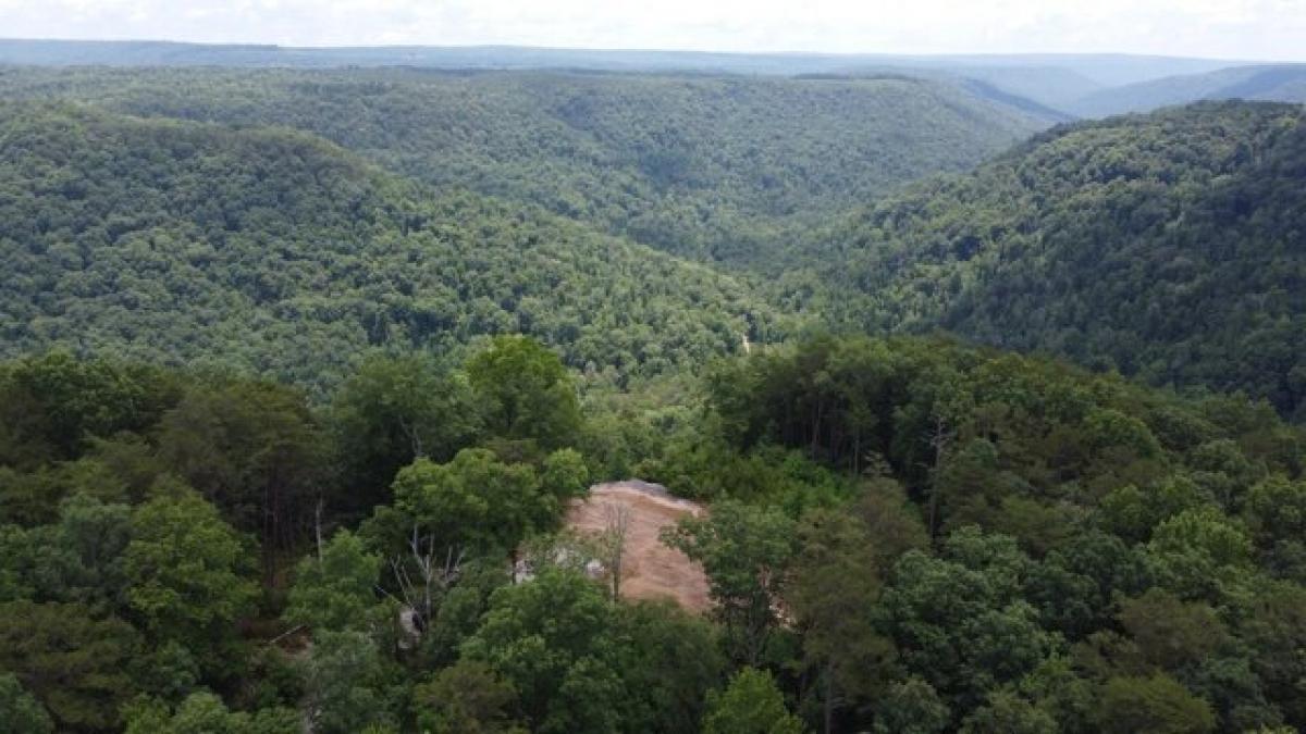 Picture of Residential Land For Sale in Tracy City, Tennessee, United States