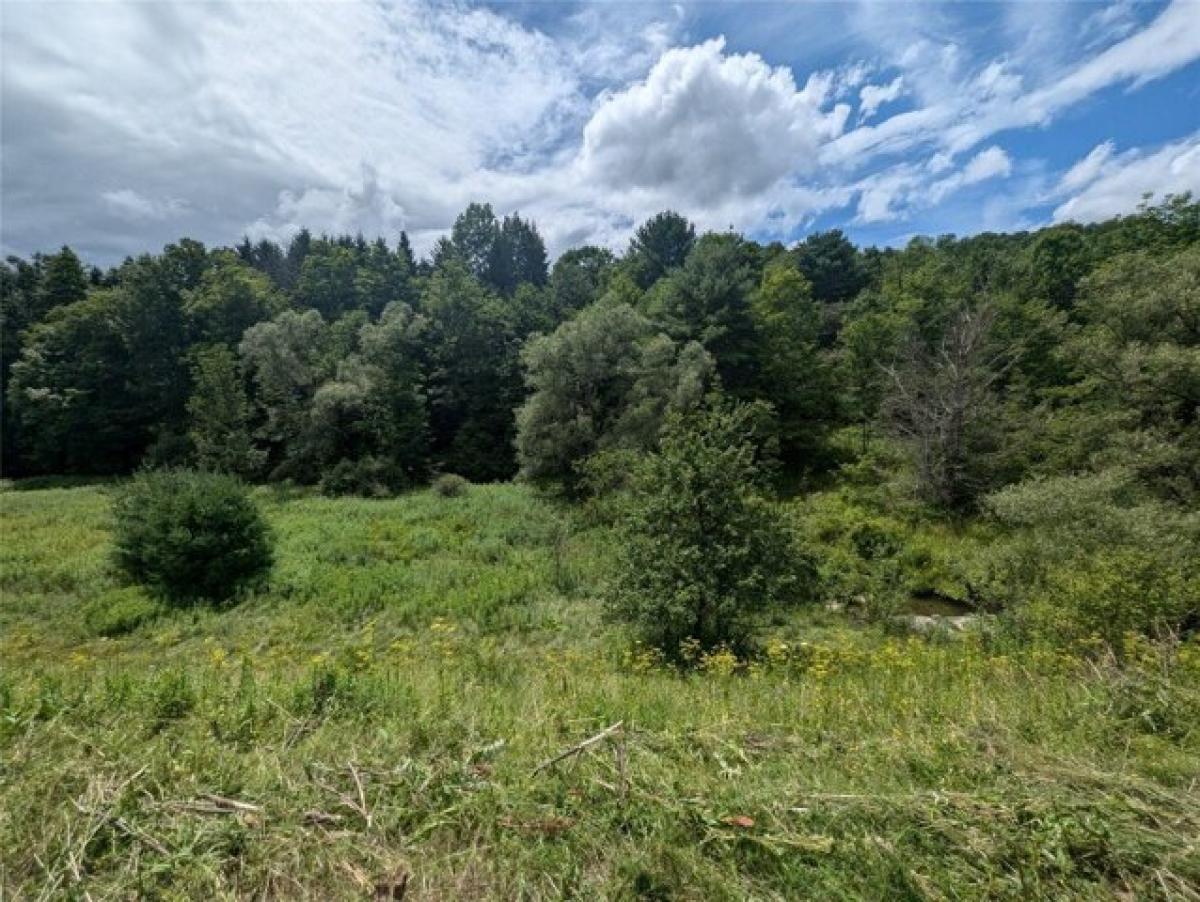 Picture of Residential Land For Sale in Harpursville, New York, United States