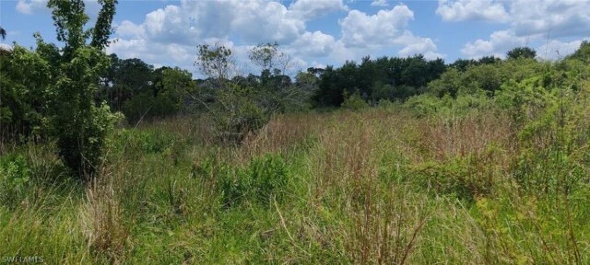 Picture of Residential Land For Sale in Clewiston, Florida, United States