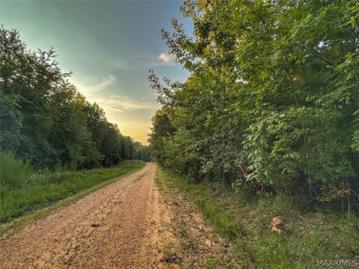 Picture of Residential Land For Sale in Hamilton, Alabama, United States