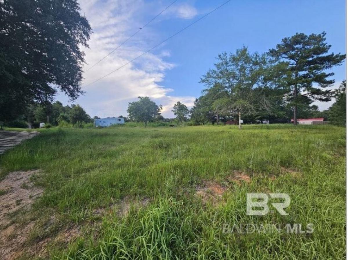 Picture of Residential Land For Sale in Irvington, Alabama, United States