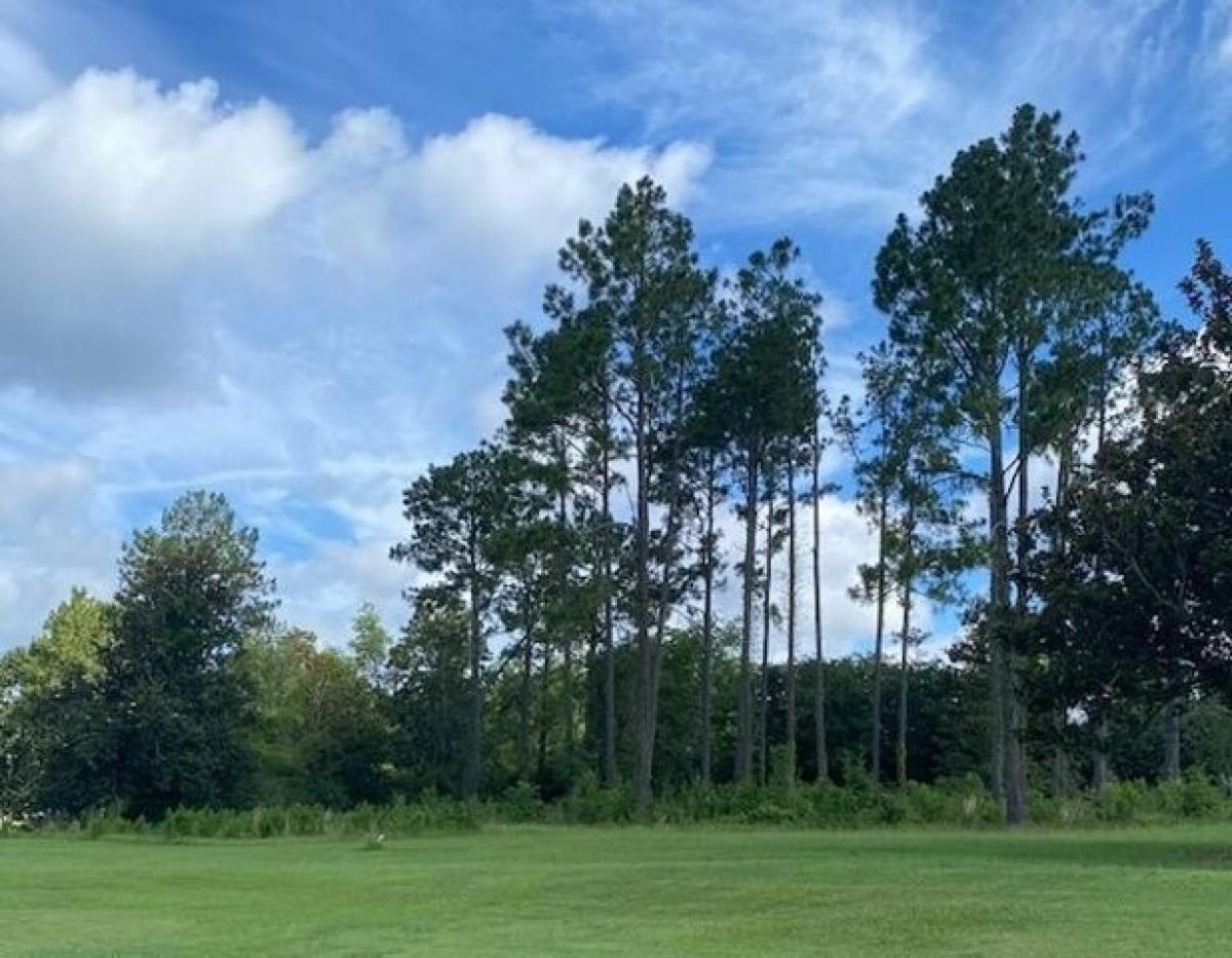 Picture of Residential Land For Sale in Cairo, Georgia, United States