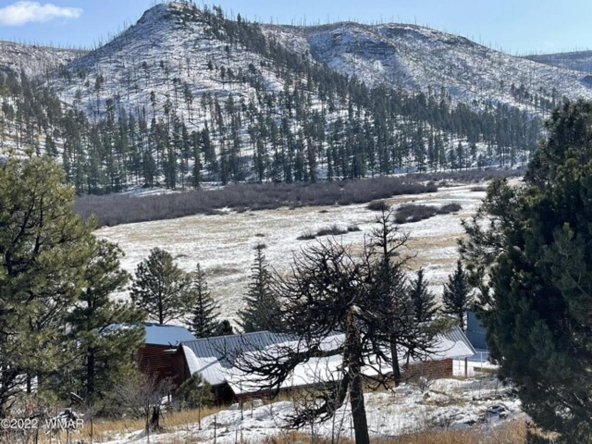 Picture of Residential Land For Sale in Greer, Arizona, United States