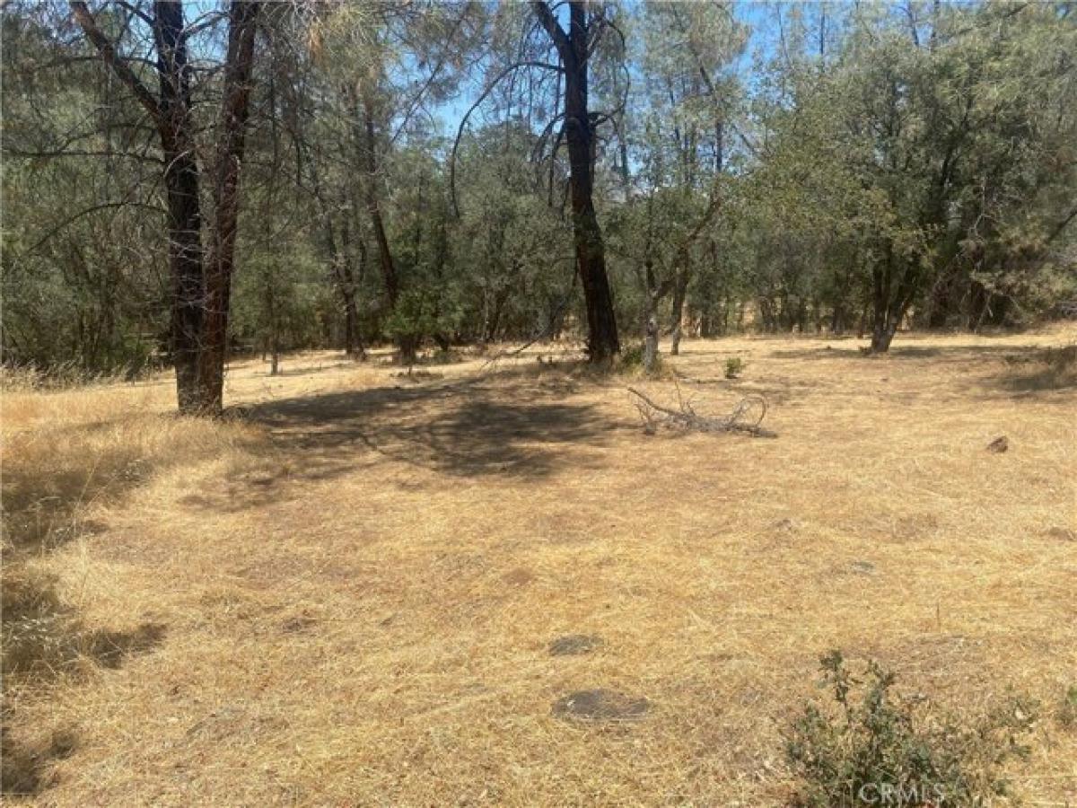 Picture of Residential Land For Sale in Oroville, California, United States