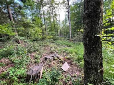 Residential Land For Sale in Erin, New York