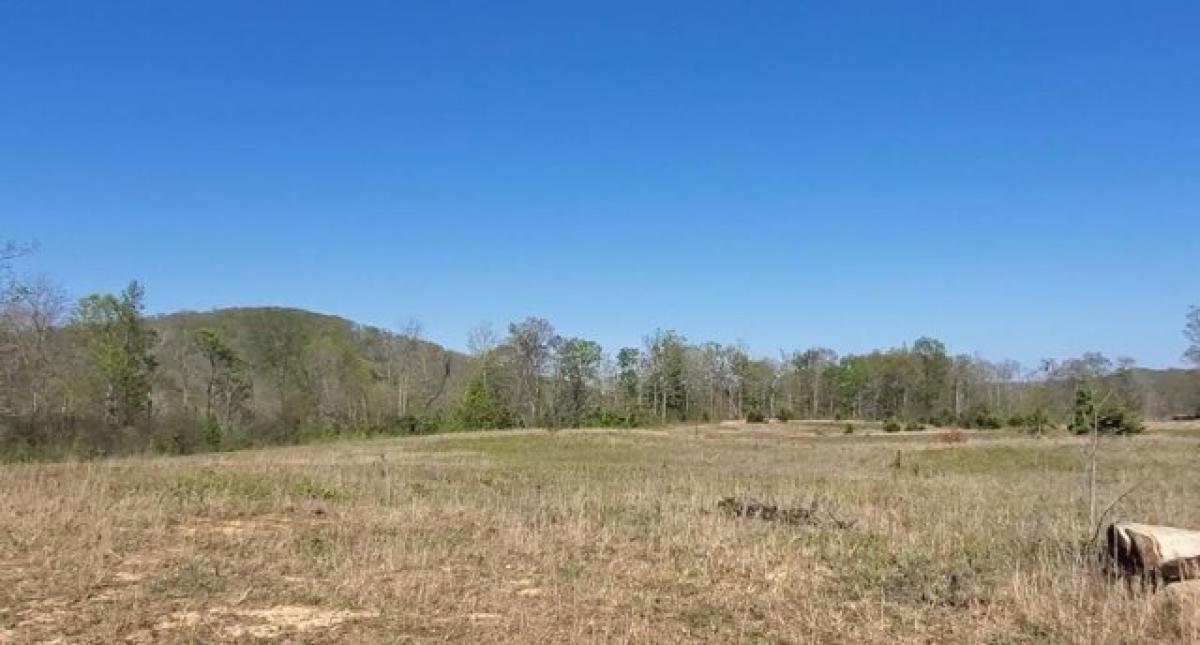 Picture of Residential Land For Sale in Livingston, Tennessee, United States