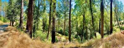 Residential Land For Sale in Napa, California