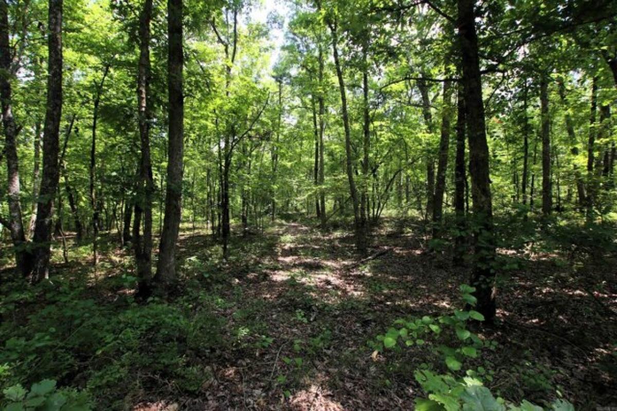 Picture of Residential Land For Sale in Clinton, Arkansas, United States