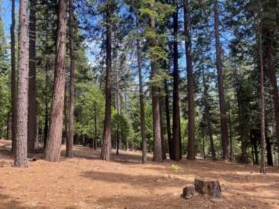 Residential Land For Sale in Camp Connell, California