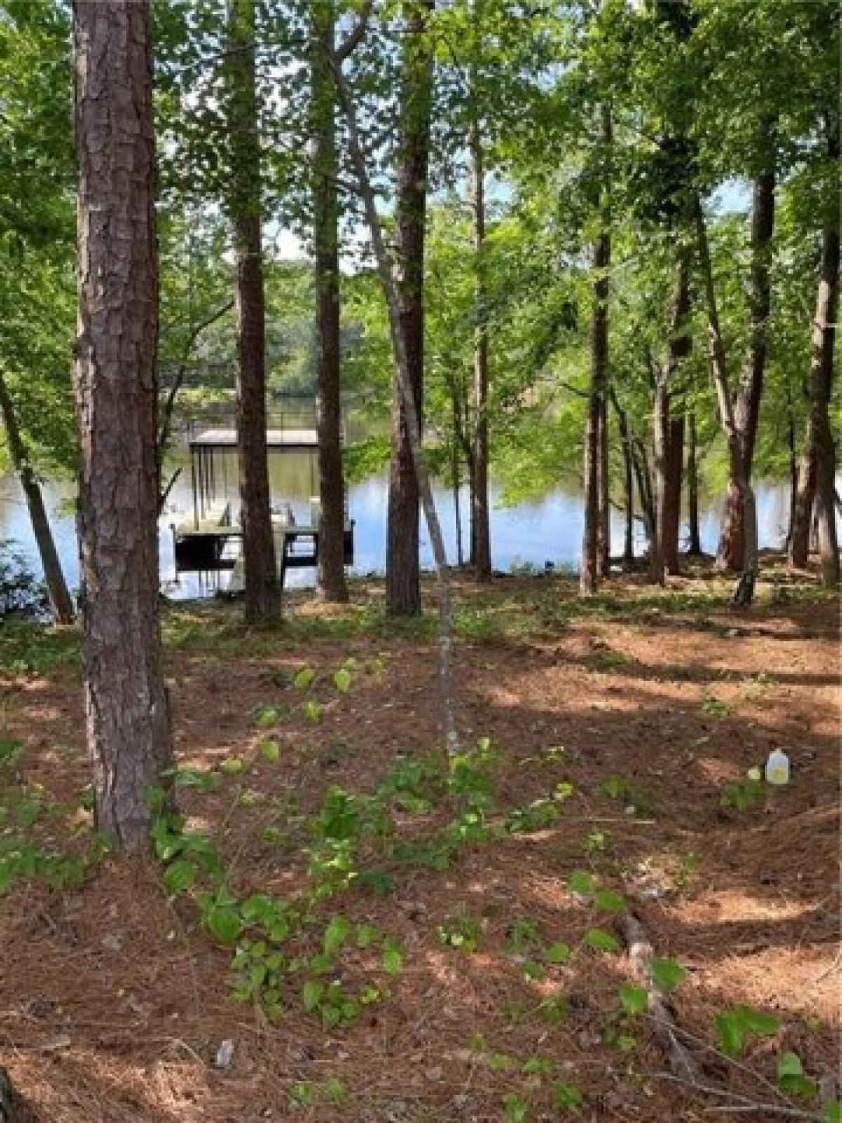 Picture of Residential Land For Sale in Dawsonville, Georgia, United States