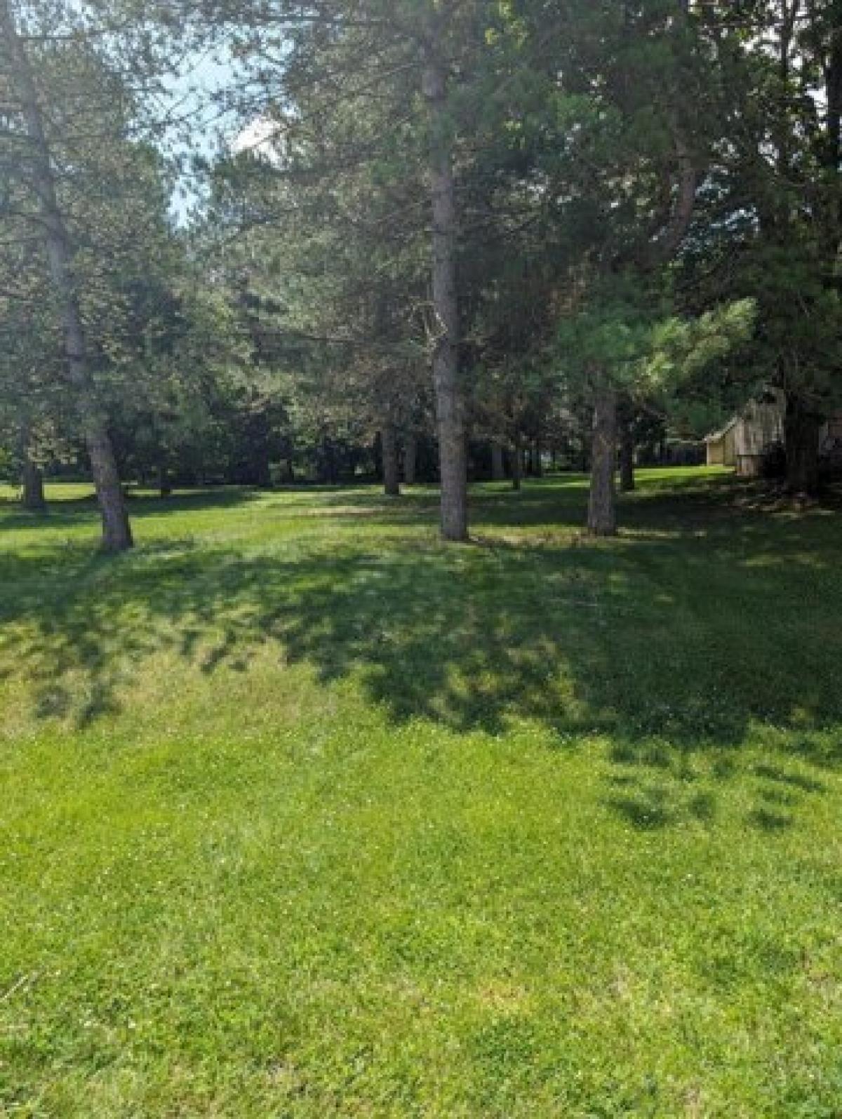 Picture of Residential Land For Sale in Pleasant Lake, Michigan, United States