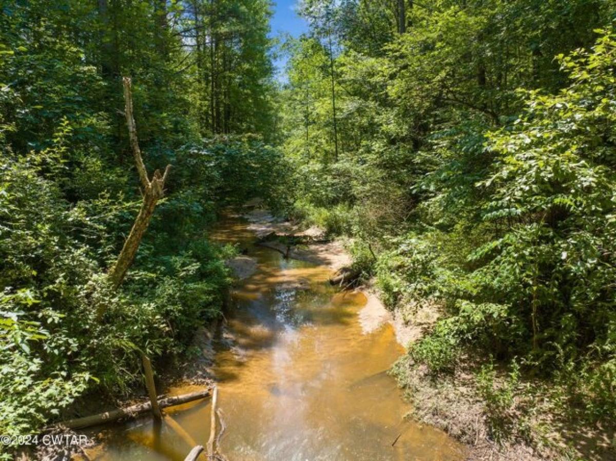 Picture of Residential Land For Sale in Camden, Tennessee, United States