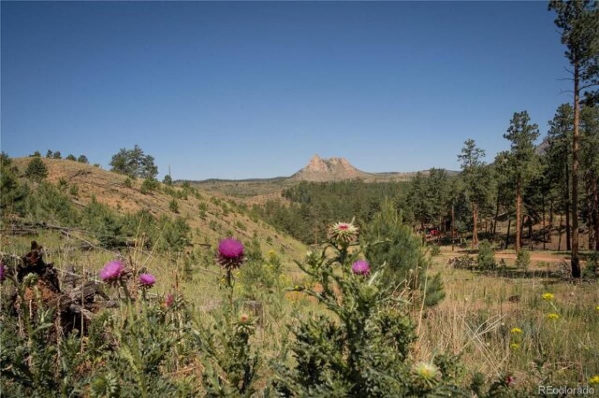 Picture of Residential Land For Sale in Woodland Park, Colorado, United States